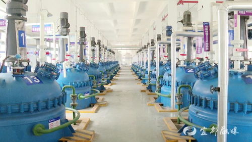 宜昌誠凱化工科研投入超500萬元，新興能源技術(shù)研發(fā)成新引擎