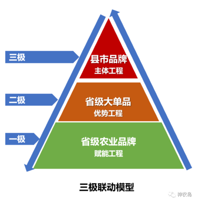 農(nóng)產(chǎn)品區(qū)域公用品牌建設(shè)的三大紀(jì)律八項注意